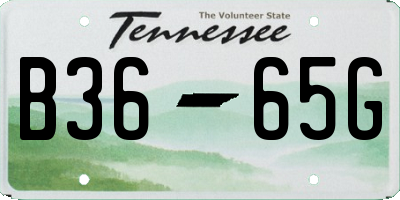 TN license plate B3665G