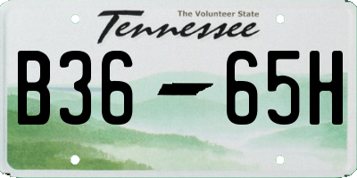 TN license plate B3665H
