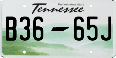 TN license plate B3665J