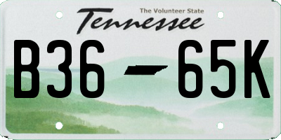 TN license plate B3665K