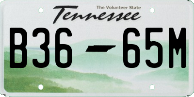 TN license plate B3665M
