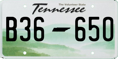 TN license plate B3665O