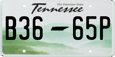 TN license plate B3665P