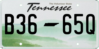 TN license plate B3665Q