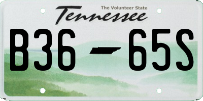 TN license plate B3665S