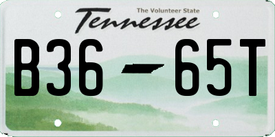TN license plate B3665T