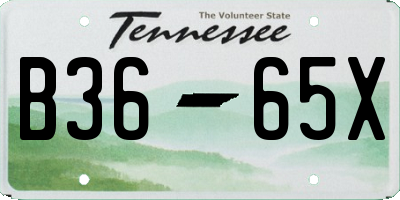 TN license plate B3665X