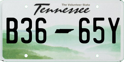 TN license plate B3665Y