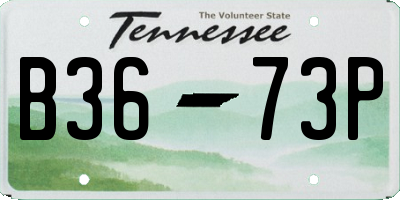 TN license plate B3673P
