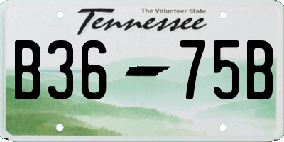 TN license plate B3675B