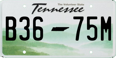 TN license plate B3675M