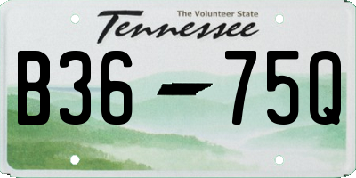 TN license plate B3675Q