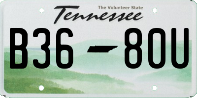 TN license plate B3680U