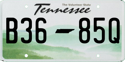 TN license plate B3685Q