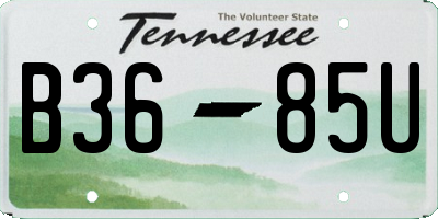 TN license plate B3685U