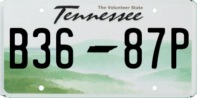 TN license plate B3687P