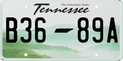 TN license plate B3689A