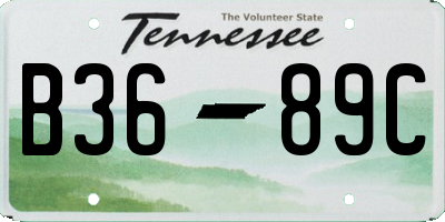 TN license plate B3689C