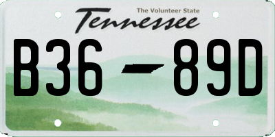 TN license plate B3689D