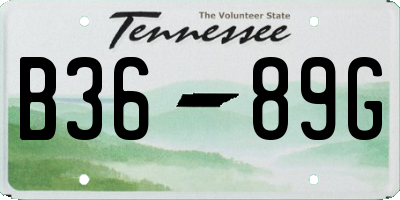 TN license plate B3689G