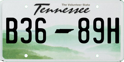 TN license plate B3689H