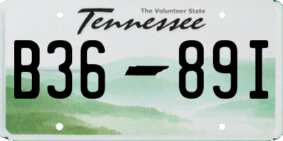TN license plate B3689I