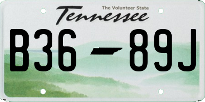 TN license plate B3689J