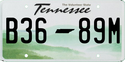 TN license plate B3689M