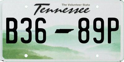 TN license plate B3689P