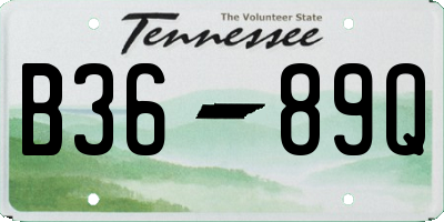 TN license plate B3689Q