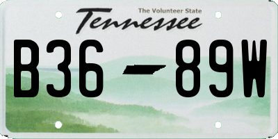 TN license plate B3689W