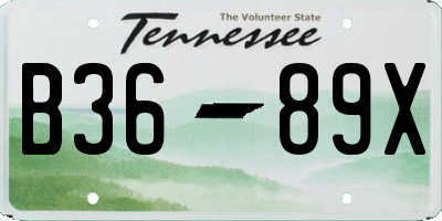 TN license plate B3689X