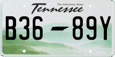 TN license plate B3689Y