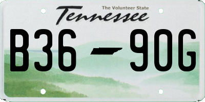 TN license plate B3690G