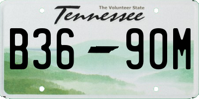 TN license plate B3690M