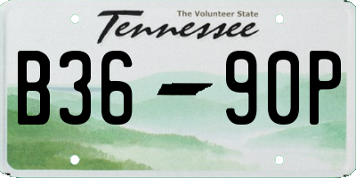 TN license plate B3690P