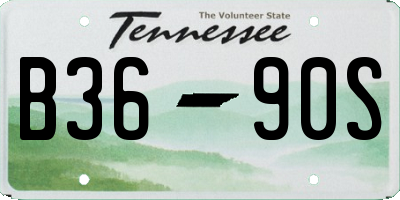 TN license plate B3690S