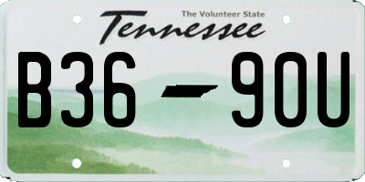 TN license plate B3690U