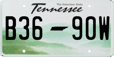 TN license plate B3690W