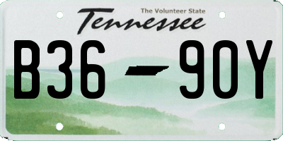 TN license plate B3690Y