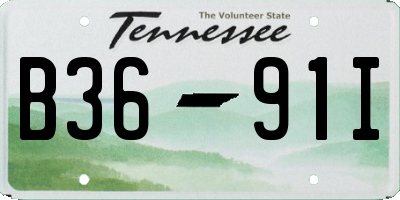 TN license plate B3691I