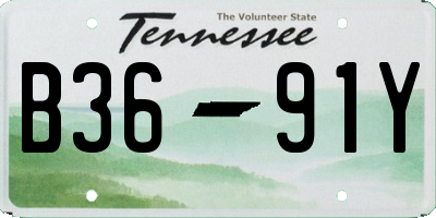 TN license plate B3691Y