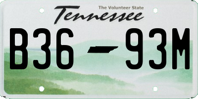 TN license plate B3693M