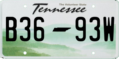 TN license plate B3693W