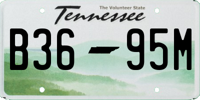 TN license plate B3695M