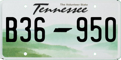 TN license plate B3695O