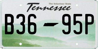 TN license plate B3695P