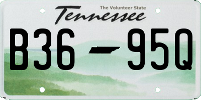 TN license plate B3695Q
