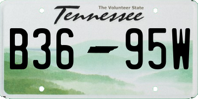TN license plate B3695W