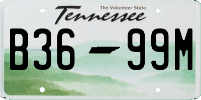 TN license plate B3699M